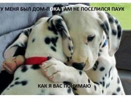 Самые смешные и странные заголовки недели 