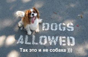 15 примеров гражданского неповиновения