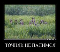 Где хочу ,там и сплю!