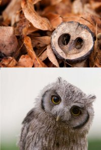 37 фотографий о том, что природа нас любит