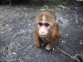 Я один ничего не понял????  ИЛИ НАС МНОГО?