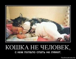 Просто он не спит с кем попало...