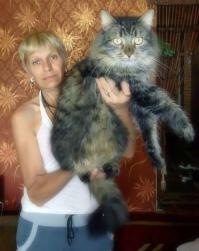 Вот такой котенок у моей Матери!
