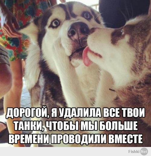 Xаски, воспитанный кошками