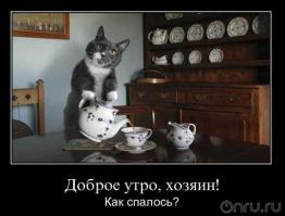 Фишкина солянка за 20.05.2014