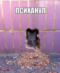 Фишкина солянка за 21.05.2014