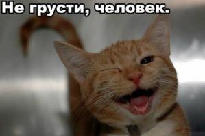 Фишкина солянка за 21.06.2014