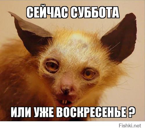 Таксидермисты жгут