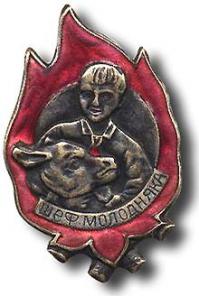 Значки отличия и просто значки времён СССР