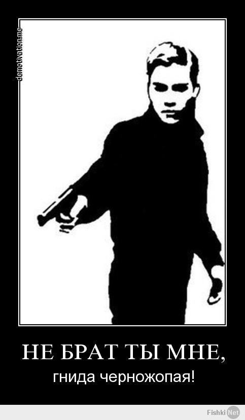 Фишкина солянка за 12.02.2014