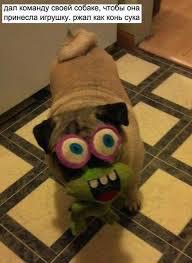 Мы не ищем легких путей 