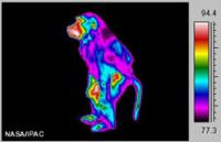 Тайны мира, которые удалось раскрыть