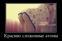 23 обычных предмета под микроскопом