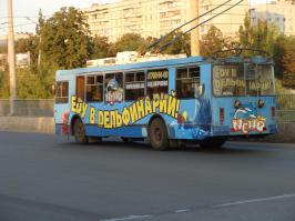 Ну да, и дельфины голодают..