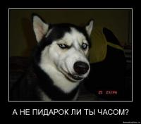 Не дышите! Самые любопытные рентгеновские снимки в истории человечеств