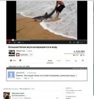 Смешные комментарии из социальных сетей 05.03.15