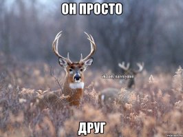 А многие вспоминают слова девушки/жены