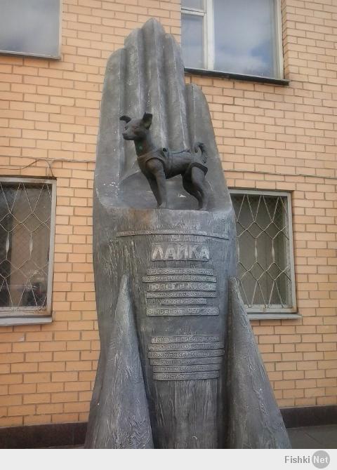 Памятник первой собаке в космосе - возле института авиационной и космической медицины