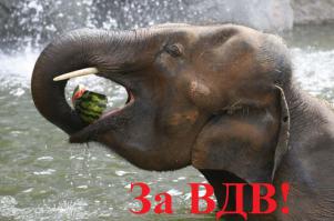 К 150-летию Московского Зоопарка