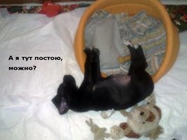 Мое сокровище