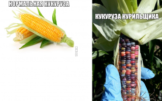 Тает во рту, а не в руках...