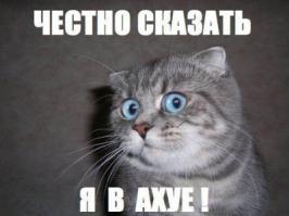30 собак, которые работают лучше вас
