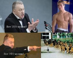 Отважный пёс