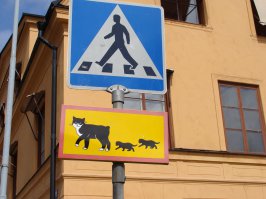 В Швеции (г.Уппсала) я видела ЧУДО!