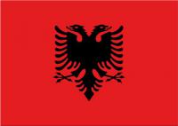 а разве это флаг албании?

там что то похожее на слово анонимус , красное пятно и рожа чья то.. из за чего подрались то?! хотя.... защитники черно-красного флага  против бело-сине-красных это символично в нынешней политобстановке