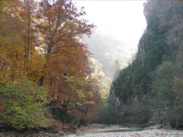 Гуамское ущелье