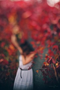 Шпаргалка для фотографов: вспышка, фон и диафрагма