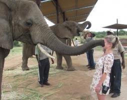 Пилинг, лифтинг, разглаживание морщин и прочие косметические процедуры. В нашем салоне работают мастера самой высокой квалификации.