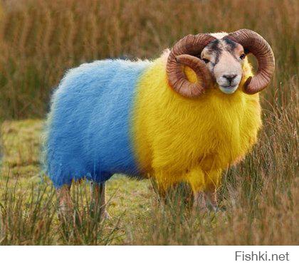 Тайное послание