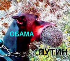 Обаму признали главным неудачником Америки  
