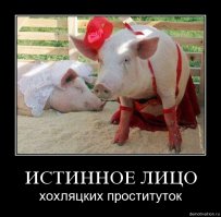 точняк 5 балов