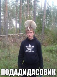 Смешные комментарии из социальных сетей 03.03.15