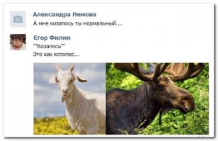 Смешные комментарии из социальных сетей 09.04.15