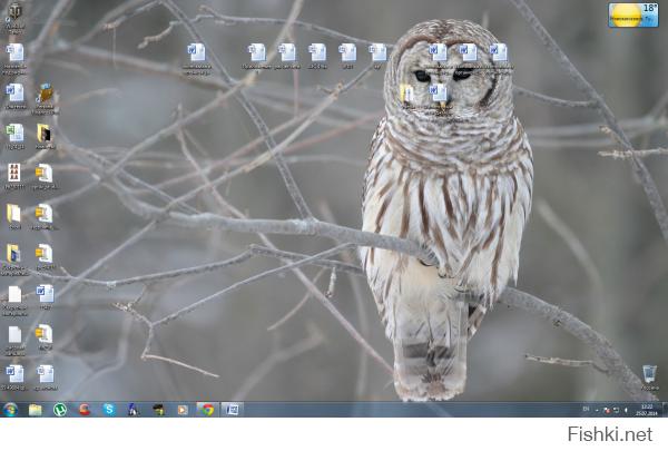 Не люблю, когда что-то на рабочем столе. Для этого есть куча других мест и панель БЗ. Но бороться уже устала, поэтому потихоньку засирается. Сова эта уже несколько лет висит. Даже на моём нэтбуке такая же картинка.