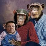 Фишкина солянка за 31.08.2014