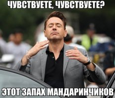 17 предновогодних безумий, от которых тебе снесет крышу 