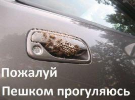 С легкостью вышли из трудного положения