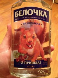 Почему ты меня обидел 