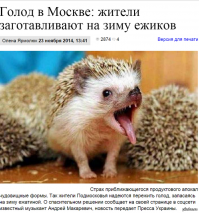 Кошка заботится о ежатах