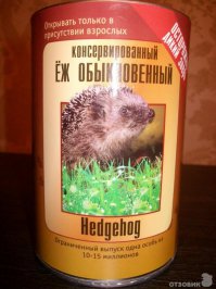 Кошка заботится о ежатах