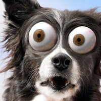 Сам себя загрузил