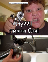 Когда ты сильный духом и ничего не боишься