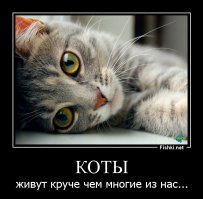 Судя по посту: