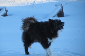 без прикрас)