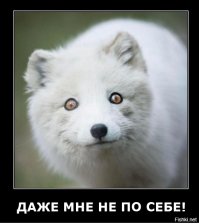 Игрок Севильи сходил в туалет в стакан во время матча