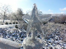 Если вы увидите нечто подобное — бегите без оглядки